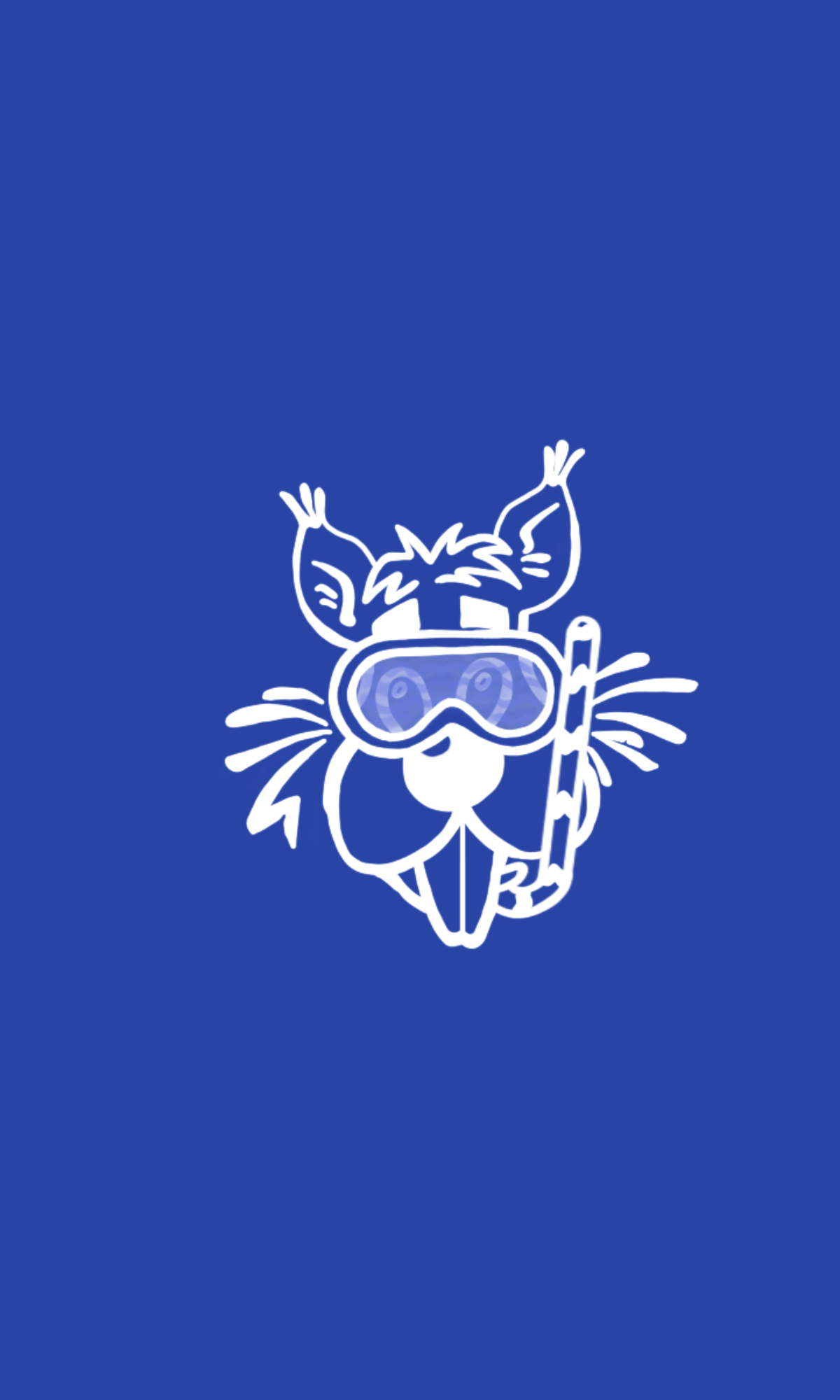 Casal d'estiu - S4: 13/07 - 17/07